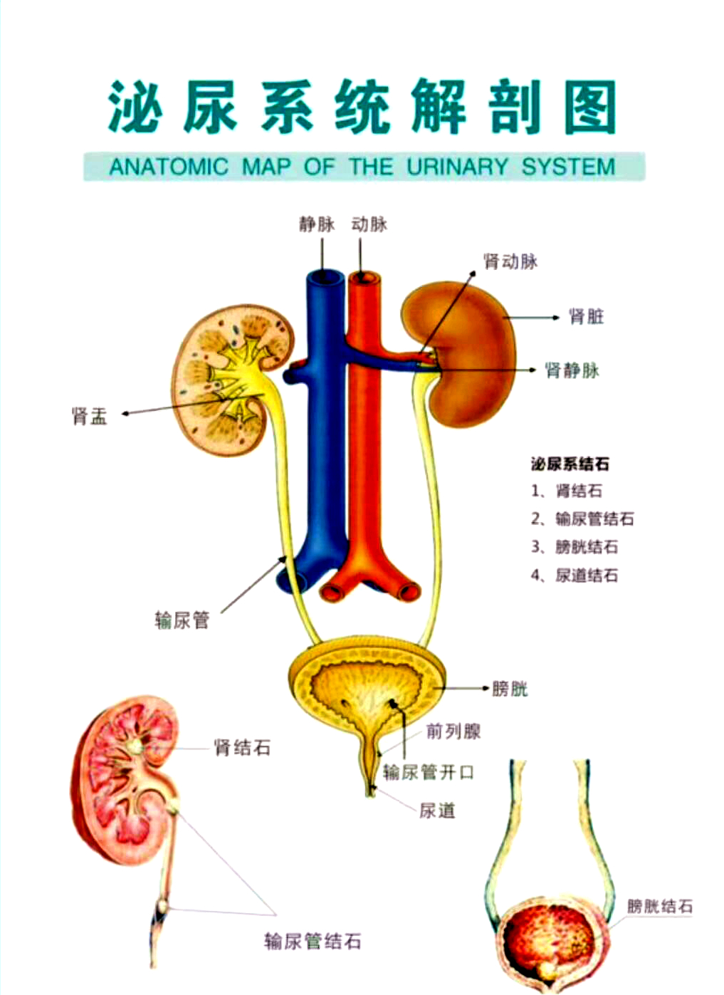1615250383846748.jpg 微信图片_20210309083109_副本.jpg